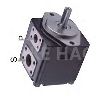 High Pressure  Double  Vane Pump Cartridge Stainless Steel Gear Pump