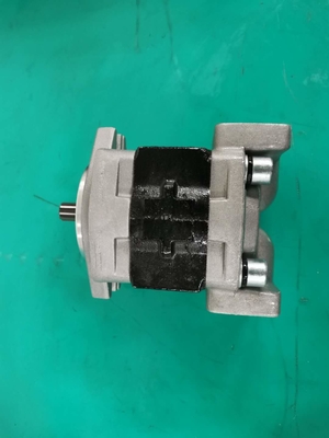 Standard  Iron Material SGP1AF25-ALΦ9 L Gear Pump