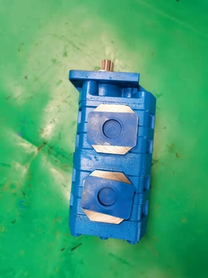 CBGJ2063+2063 2+2 14R  CBGJ Original Gear Pump Iron Aluminum Stainless Steel
