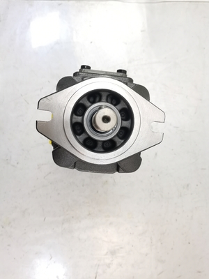OEM Customizable High-Pressure Hydraulic Gear Pump for Automotive