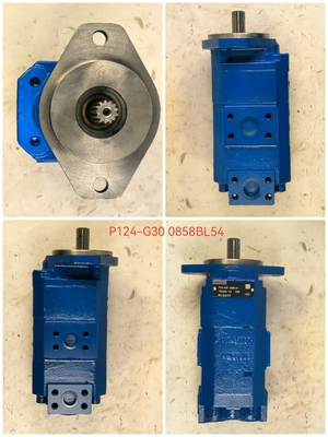 EC460 P124-G30 Hydraulic Gear Pump for Excavators 1 Year Warranty
