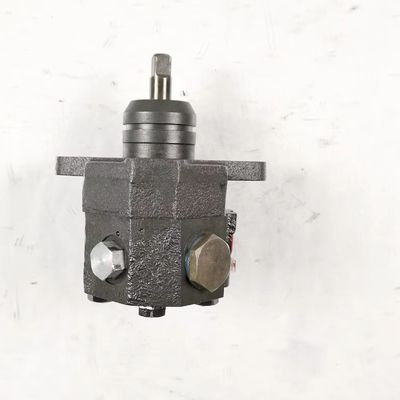 High Pressure Cast Iron Hydraulic Gear Pump with 1 Year Warranty for Industrial Utilities