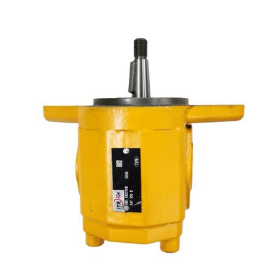 Steel Hydraulic Gear Pump with 10T Tooth 11KW Power and 160KG-250KG Pressure for Industrial Applications