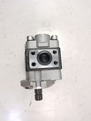 Hydraulic Vane Pump CBHZA-F30-AFΦL with 1-Year Warranty and Custom OEM Parts for Construction Machinery for for Komatsu Kawasaki