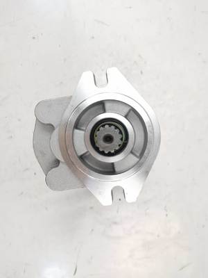 CBKZ-F452-A1L2Φ13T Medium High Pressure Hydraulic Gear Pump For Excavator , Loader , Drill, Crane