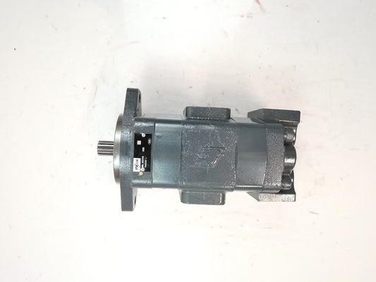 One-Year Warranty Hydraulic Gear Pump 14561971 R  High Quality Double Pump Used in Construction Equipment for Komatsu Kawasaki