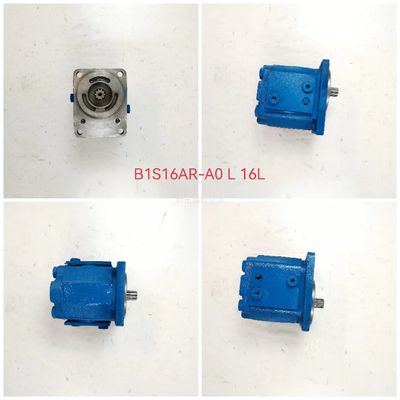 One-Year Warranty Middle and high pressure external meshing gear pumpB1S16AR-A0 L16L High Quality 11Kw 1060Used in Construction Equipment for Kawasaki