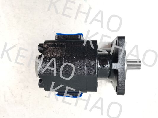 High Pressure Cast Iron Hydraulic Gear Pump 11630318001(JHP2100R 14T) with 1 Year Warranty for Industrial Utilities