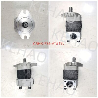 KEHAO CBHK Series Hydraulic Gear Pump CBHK-G36-A1FΦ10L with 1060lpm Flow AISI Stainless Steel and 1 Year Warranty
