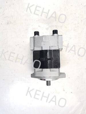 CBHK-G36-A1FΦ10L Hydraulic Gear Pump Iron and Aluminum alloy materials  Range for Construction Machinery Factory Supply Hydraulic Parts Customize