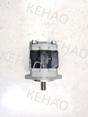 CBHK-G36-A1FΦ10L Hydraulic Gear Pump Iron and Aluminum alloy materials  Range for Construction Machinery Factory Supply Hydraulic Parts Customize