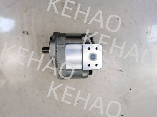 D41 Series Hydraulic Gear Pump including D41-45CC(R) D41-6E+40-28CCR D41-400C(R) with 1060lpm Flow AISI Stainless Steel and 1 Year Warranty