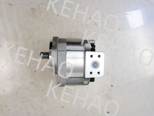 D41 Series Hydraulic Gear Pump including D41-45CC(R) D41-6E+40-28CCR D41-400C(R) with 1060lpm Flow AISI Stainless Steel and 1 Year Warranty