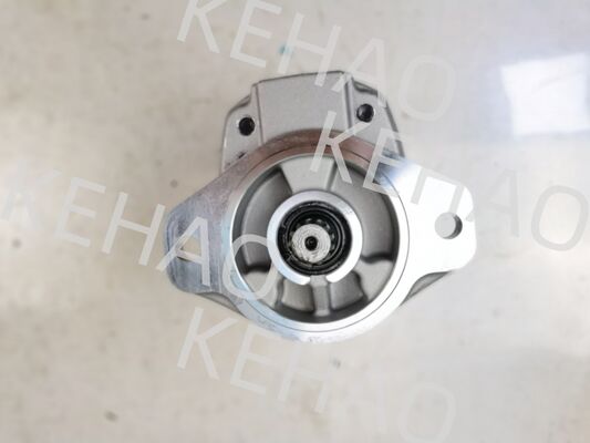 D41 Series Hydraulic Gear Pump including D41-45CC(R) D41-6E+40-28CCR D41-400C(R) with 1060lpm Flow AISI Stainless Steel and 1 Year Warranty