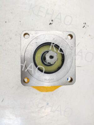 JHP2063L 6T Bulldozer Pump Cast Iron Aluminum Alloy Material Hydraulic Gear Pumps  Yellow Color Rate of Flow 200 for CAT