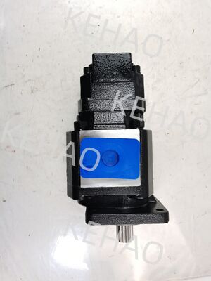 JHP3100+0010 6T L Hydraulic Gear Pump JHP2063L 6T JHP3166L 6T Agricultural Machinery Hydraulic for Cat Steering device OEM Service