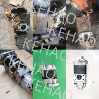 APG22-019-013-R Hydraulic Gear Pump Iron and Aluminum alloy materials  Range for Construction Machinery Factory Supply Hydraulic Parts Customize