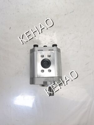 Factory Supply Hydraulic Gear Pump CBT-F425-AFΦ Iron and Aluminum alloy materials Oil Transfer Pump certification OEM ODM