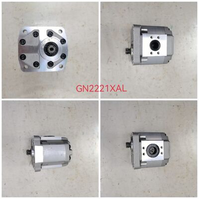 NABCO Gear Pump Hydraulic Pump GN2221XAL Cast Iron and Aluminum alloy materials Mini Pump for Construction Machinery Factory Supply one year warranty