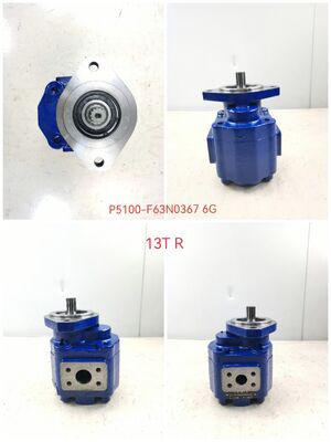 KEHAO Hydraulic Gear Pump P5100-F63N03676G Repair Hydraulic Parts Cast Iron  Aluminum alloy  Oil Gear Pump For Excavator Equipment ISO9001 certified