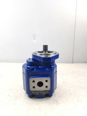 KEHAO Hydraulic Gear Pump P5100-F63N03676G Repair Hydraulic Parts Cast Iron  Aluminum alloy  Oil Gear Pump For Excavator Equipment ISO9001 certified