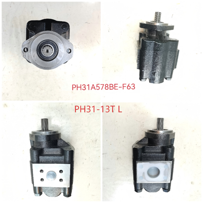 KEHAO Hydraulic Gear Pump PH31-13T L Cast Iron and Aluminum alloy  Industrial Grade Oil Transfer Pump for Heavy Machinery Repair Parts OEM customizable