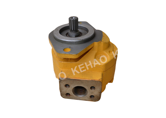 1PA1911Q3B26A 18PL240304BK-4  Gear Pump / Cast Iron Gear Pump
