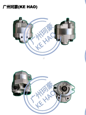 Standard 705-22-26260 D41E D41P Pump Assembly