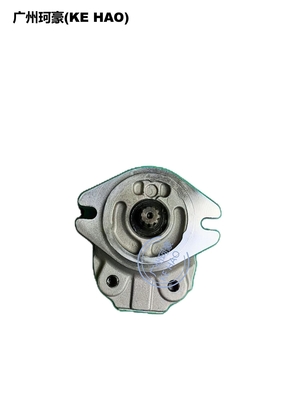 Standard 705-22-26260 D41E D41P Pump Assembly