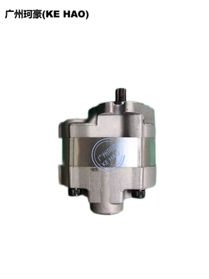 Standard 705-22-26260 D41E D41P Pump Assembly
