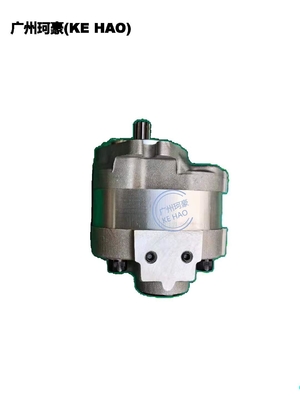 Standard 705-22-26260 D41E D41P Pump Assembly