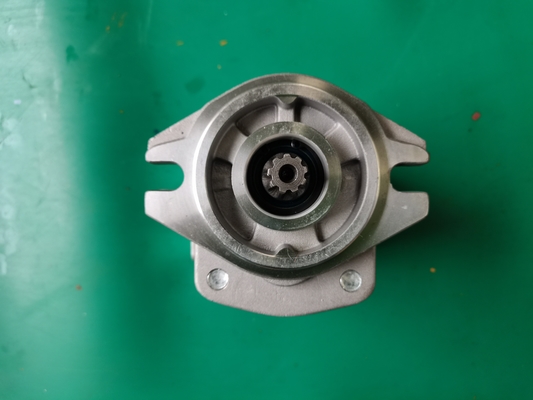 Iron SGP1-F23-ALΦ9R Gear Pump Siver And Black Color