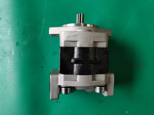 Iron SGP1-F23-ALΦ9R Gear Pump Siver And Black Color
