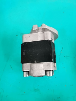 SGP1-F36-ALΦ10L H  Commercial Hydraulics Gear Pumps D50P D50S