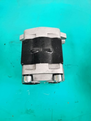 SGP1-F36-ALΦ10L H  Commercial Hydraulics Gear Pumps D50P D50S