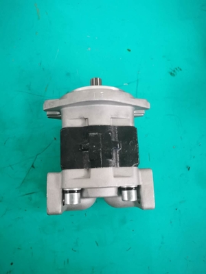 SGP1A-25-AFΦ9 Hydraulic Gear Pump 175-13-23500 D135A D155A