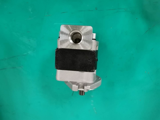 Standard  Iron Material SGP1AF25-ALΦ9 L Gear Pump