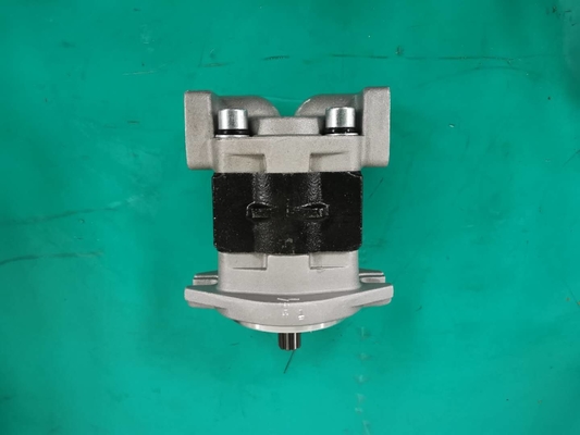 Standard  Iron Material SGP1AF25-ALΦ9 L Gear Pump